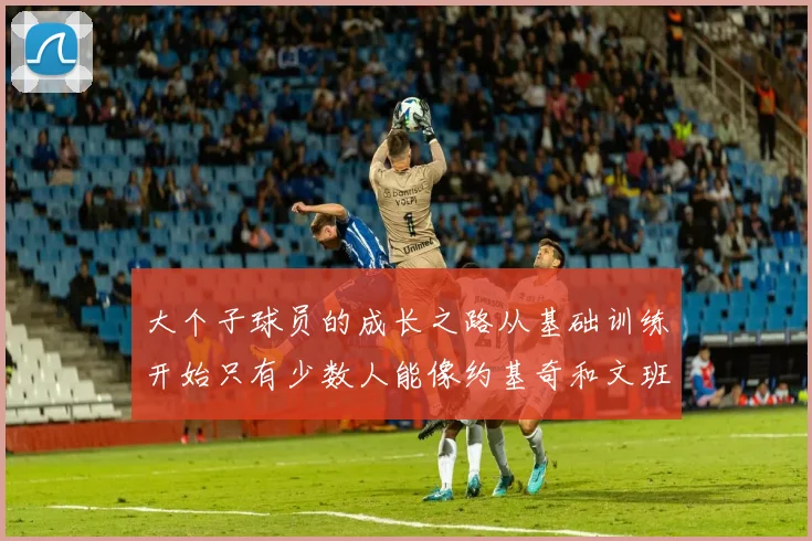 大个子球员的成长之路从基础训练开始只有少数人能像约基奇和文班那样成功