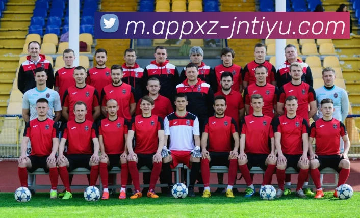 江南体育APP 封面图